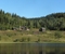 Sommer på Dokka, utsikt fra øya