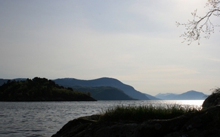 a, Natur ved Holmely