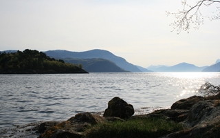 b, Natur ved Holmely