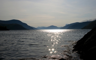 c, Natur ved Holmely