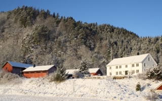 Hele-garden---vinter