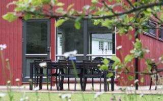 Tidlig sommer i hagen