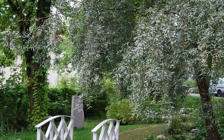 Fra Stille hage, sommer