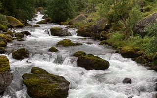 foss-(2)