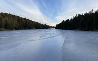 img_0786.